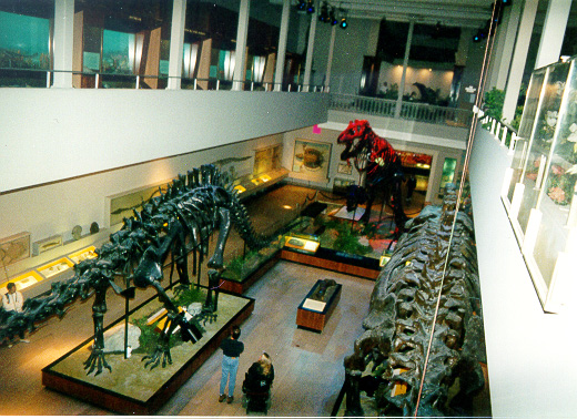 Original (1907) Dinosaur Hall of The Carnegie Museum
 of Natural History